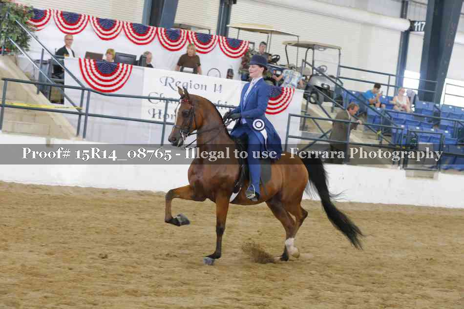 Proof Number 15R14_08765