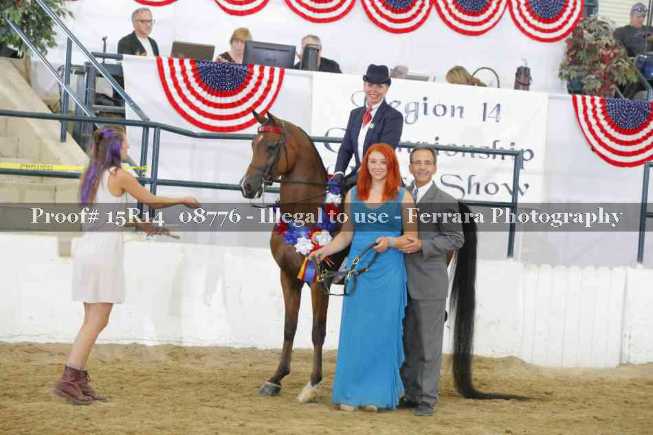 Proof Number 15R14_08776