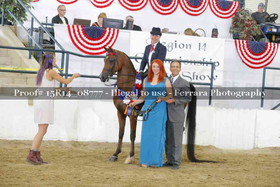 Proof Number 15R14_08777