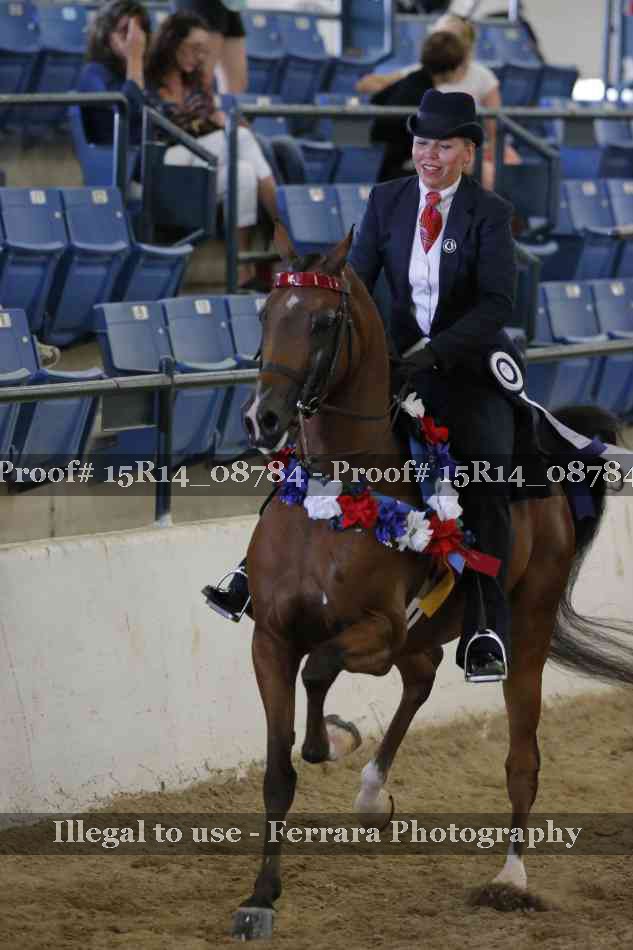 Proof Number 15R14_08784