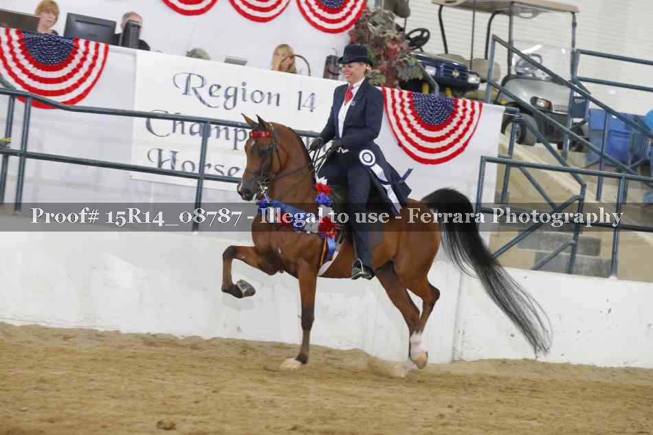 Proof Number 15R14_08787