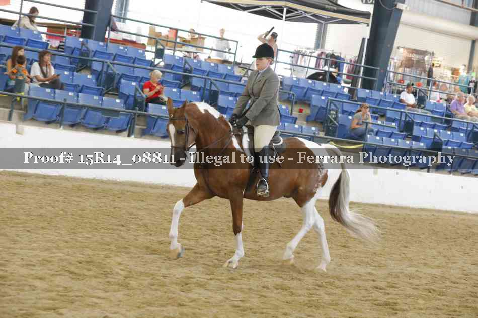 Proof Number 15R14_08811