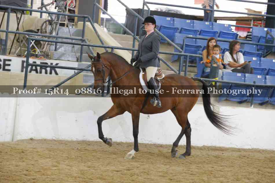 Proof Number 15R14_08816