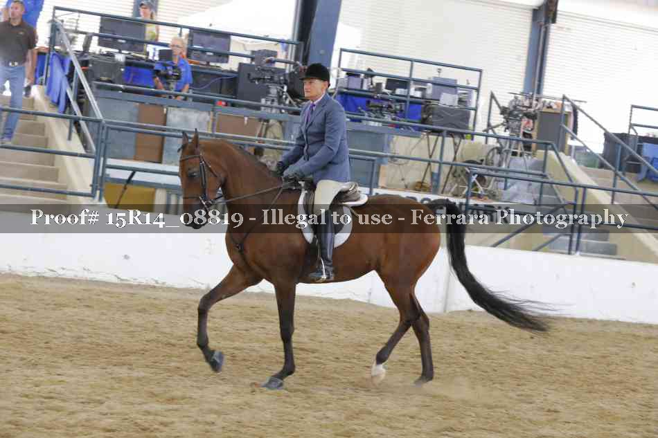 Proof Number 15R14_08819