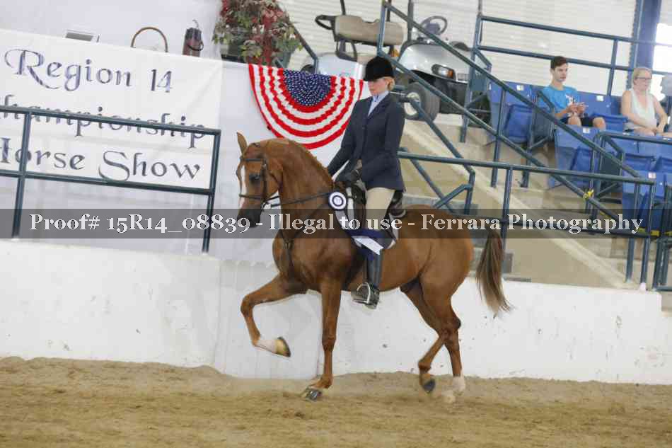 Proof Number 15R14_08839