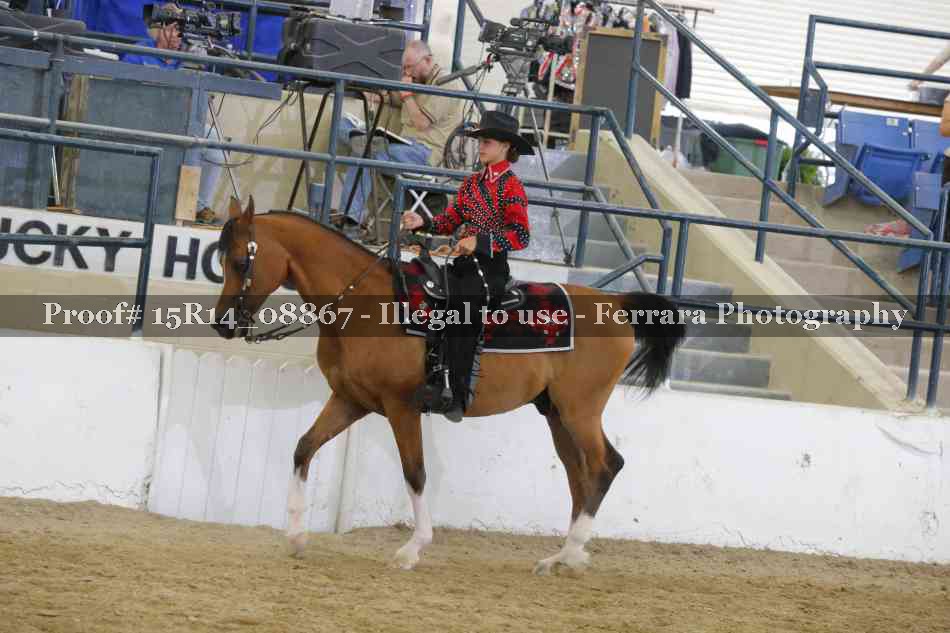 Proof Number 15R14_08867
