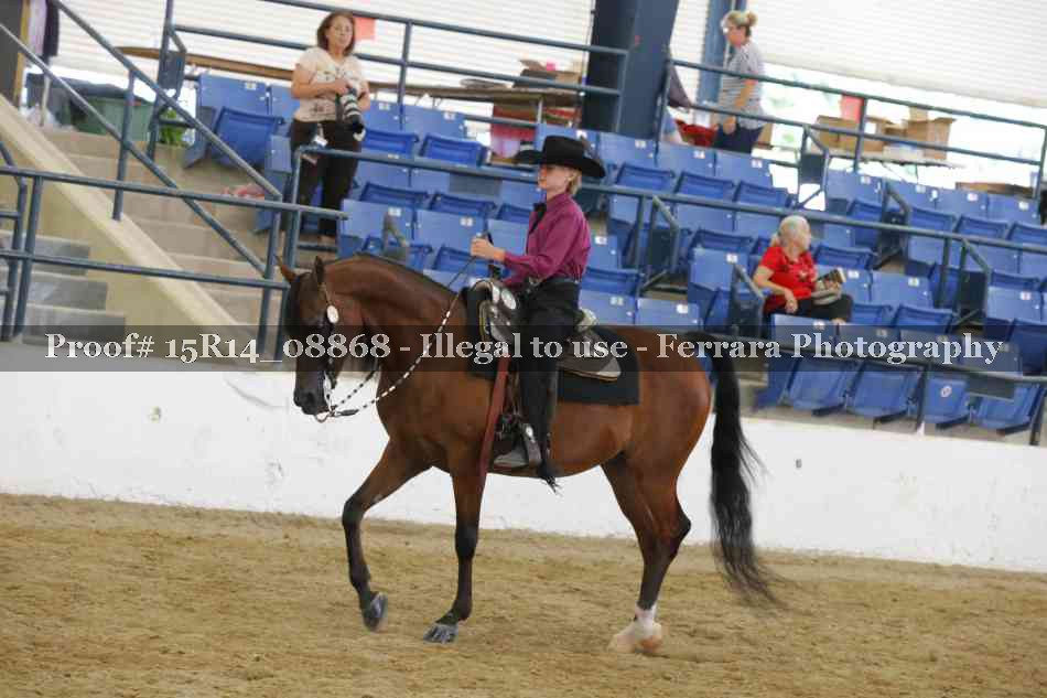 Proof Number 15R14_08868