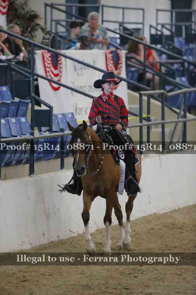 Proof Number 15R14_08871