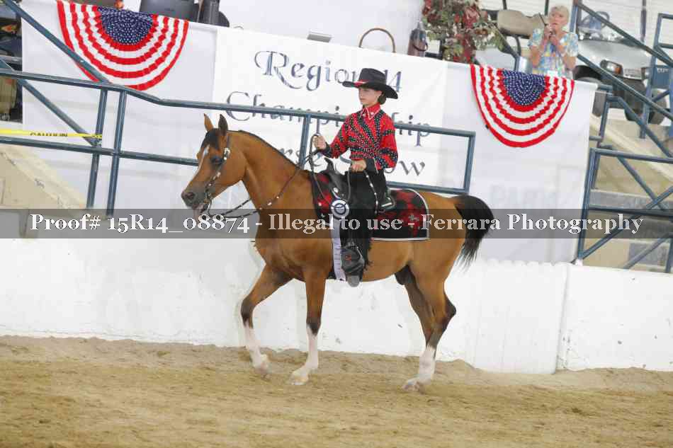 Proof Number 15R14_08874