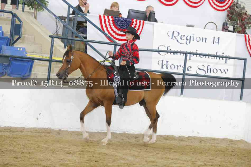 Proof Number 15R14_08875