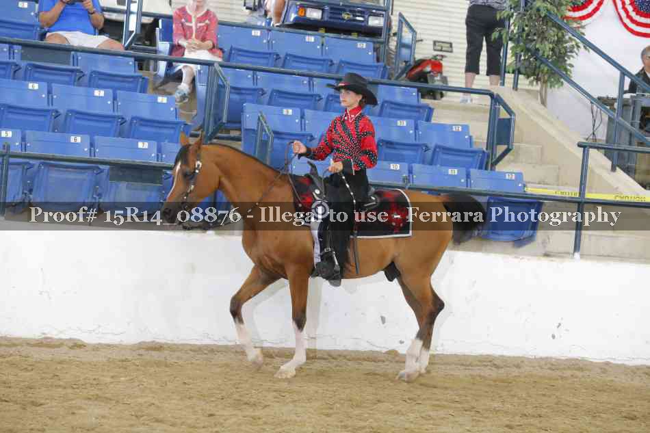 Proof Number 15R14_08876