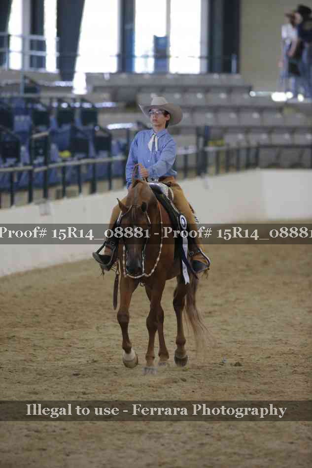 Proof Number 15R14_08881