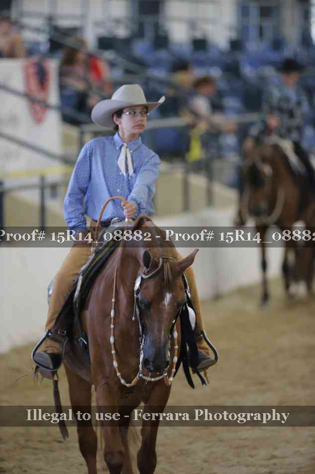 Proof Number 15R14_08882