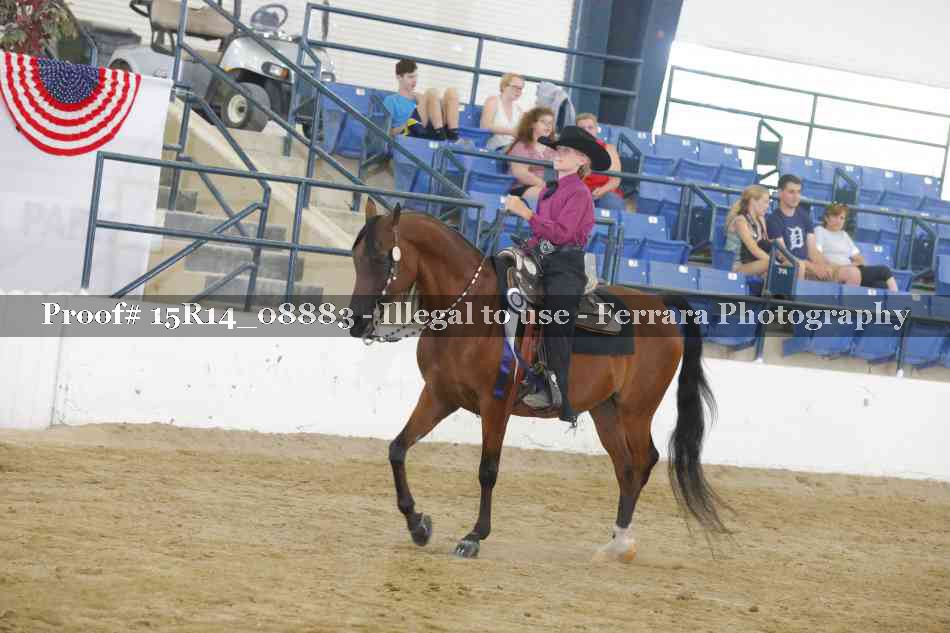 Proof Number 15R14_08883