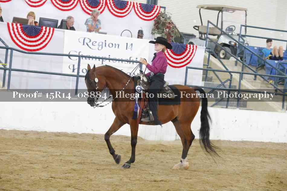 Proof Number 15R14_08884