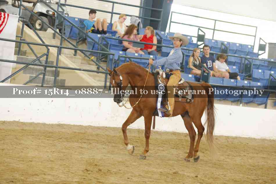 Proof Number 15R14_08887