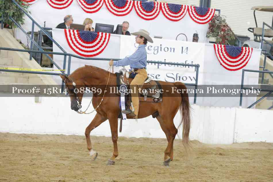 Proof Number 15R14_08889