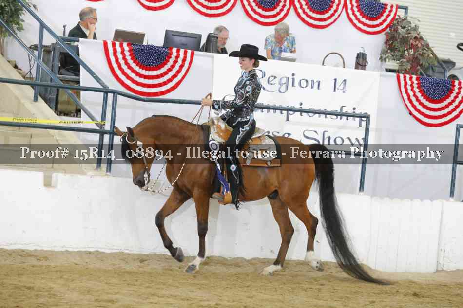 Proof Number 15R14_08894