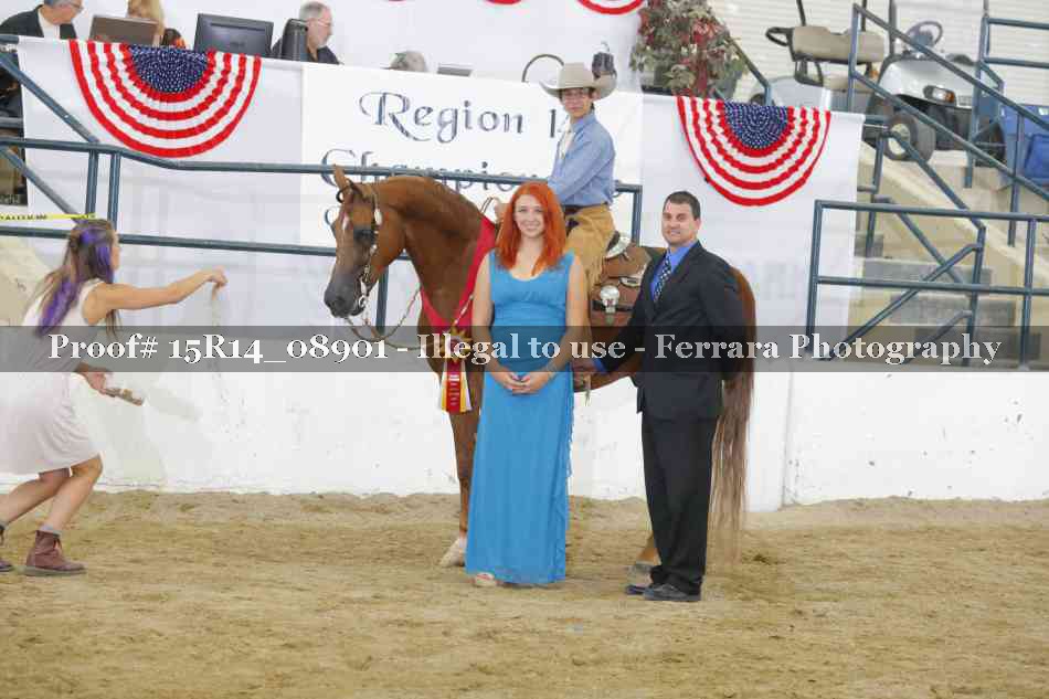Proof Number 15R14_08901