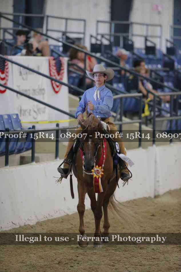 Proof Number 15R14_08907