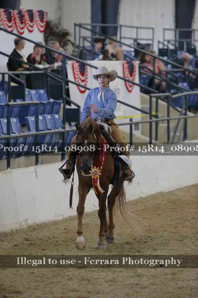 Proof Number 15R14_08908