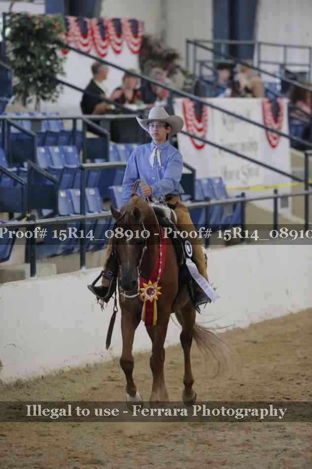 Proof Number 15R14_08910