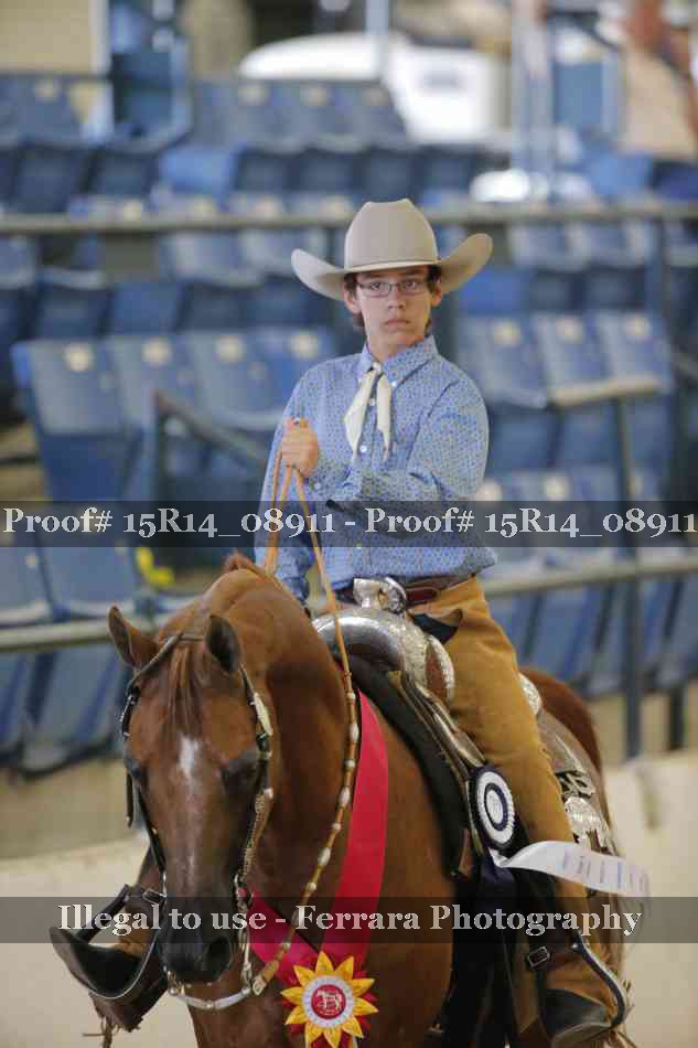 Proof Number 15R14_08911