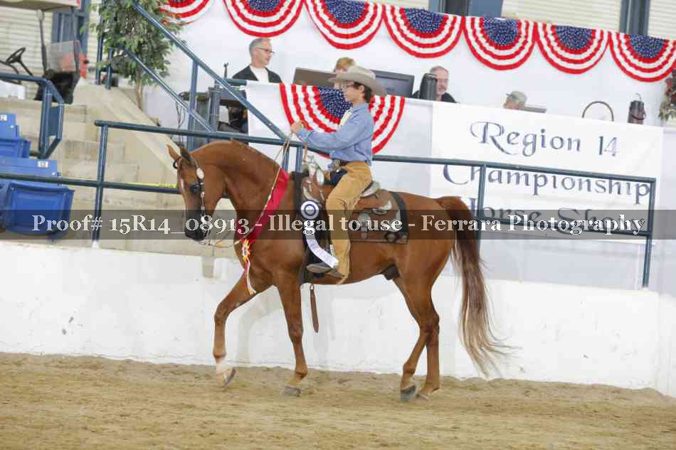 Proof Number 15R14_08913