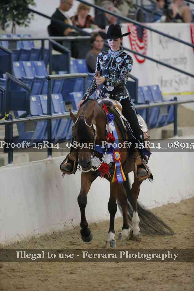 Proof Number 15R14_08915