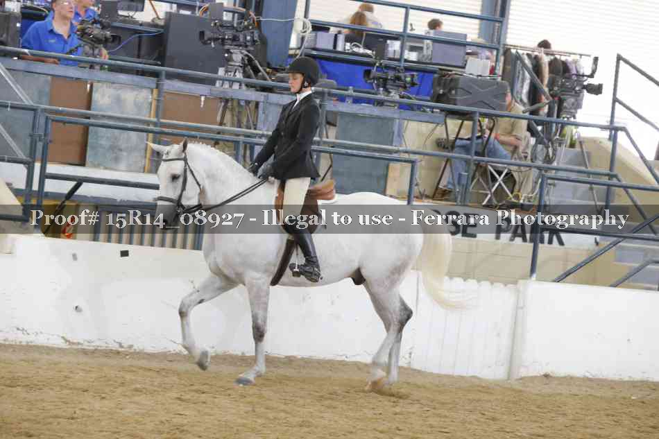 Proof Number 15R14_08927
