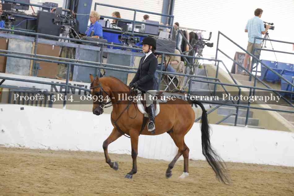 Proof Number 15R14_08934