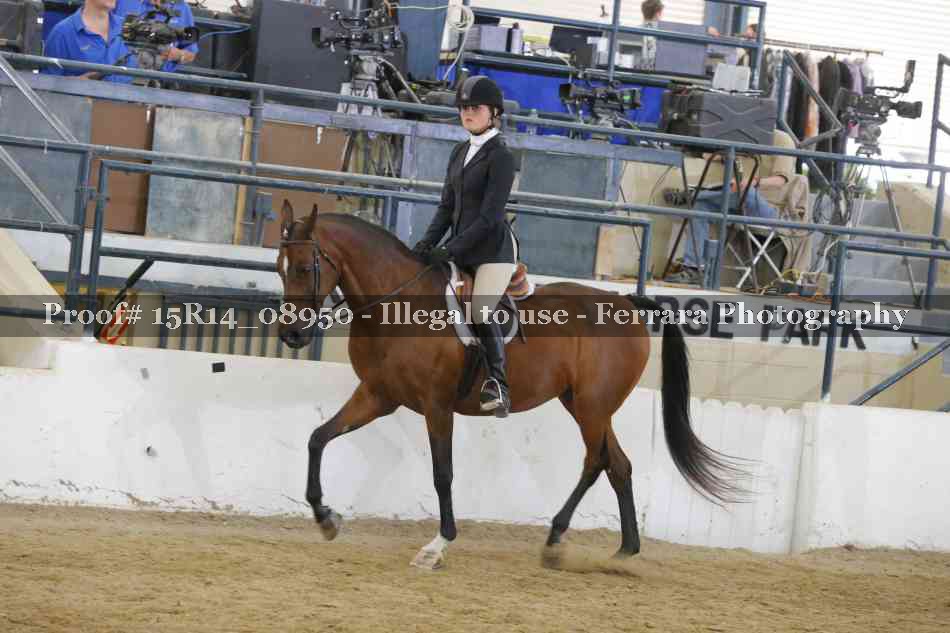Proof Number 15R14_08950