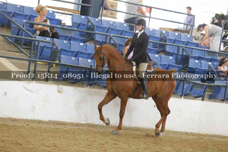 Proof Number 15R14_08951