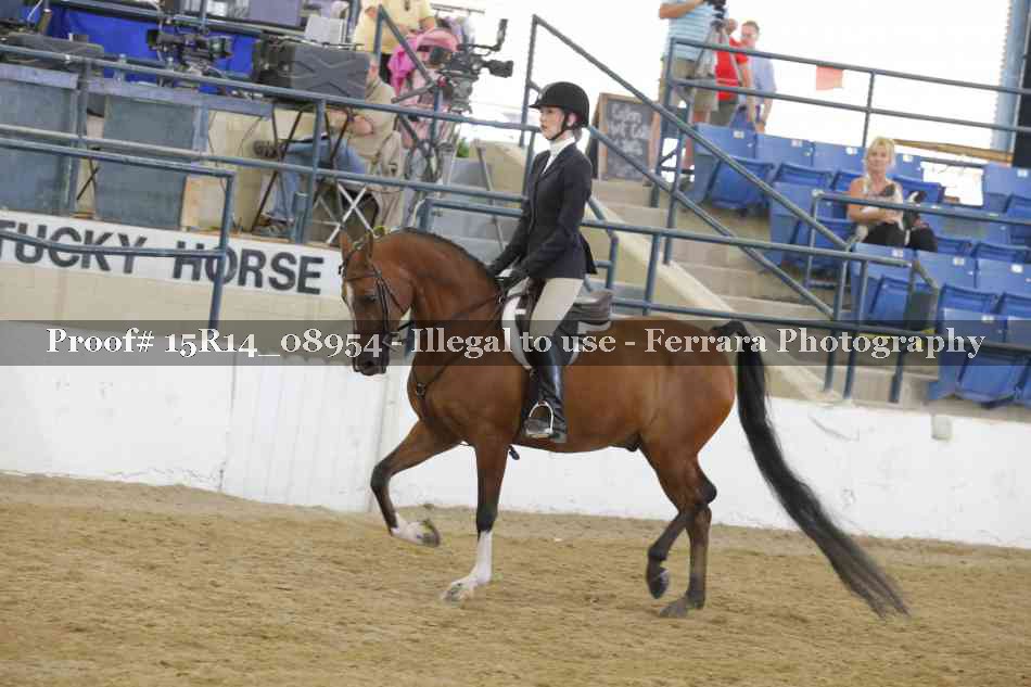 Proof Number 15R14_08954