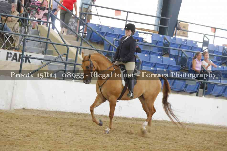 Proof Number 15R14_08955
