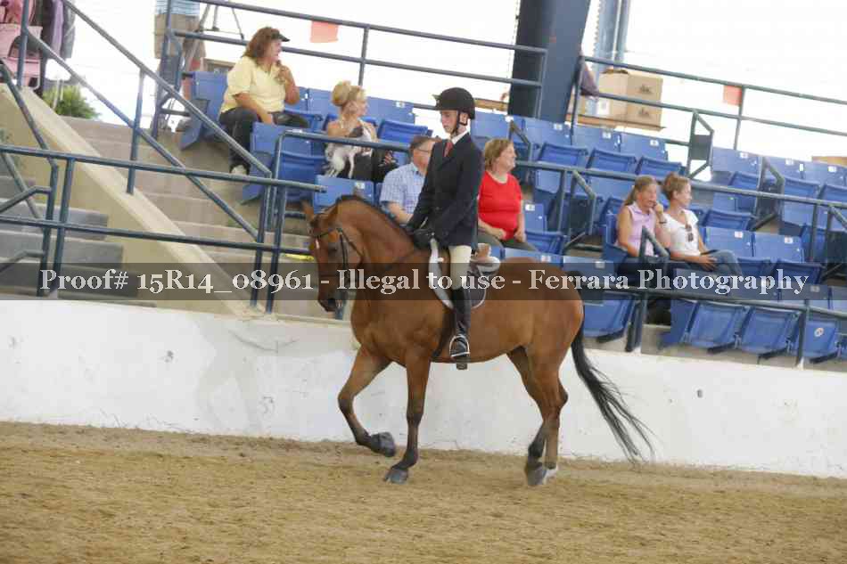 Proof Number 15R14_08961
