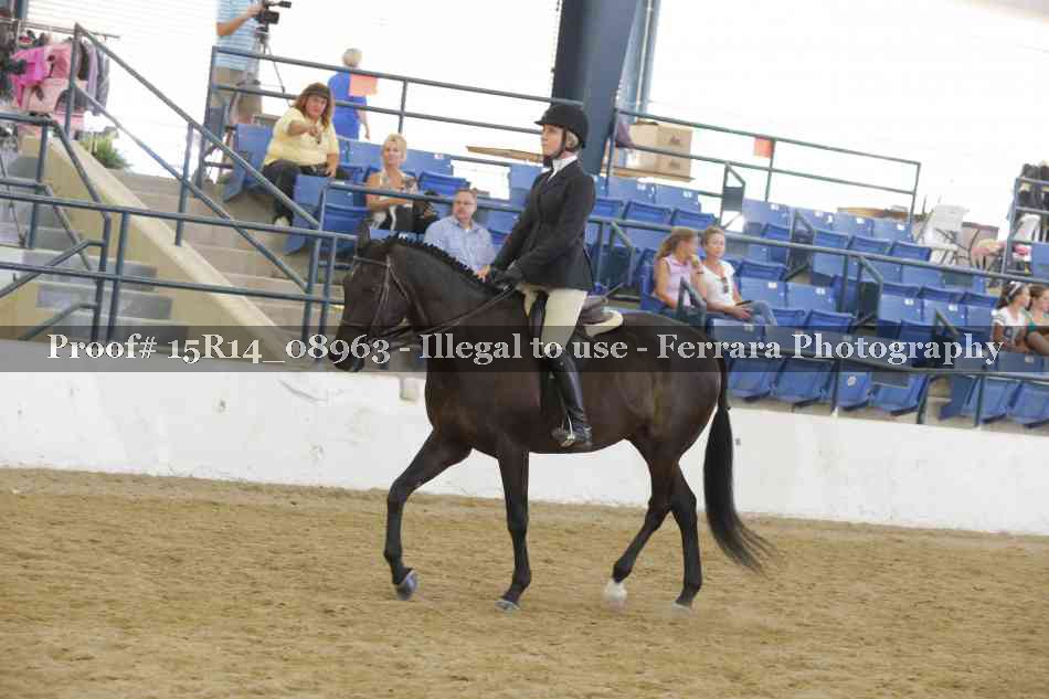 Proof Number 15R14_08963