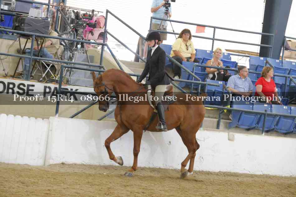 Proof Number 15R14_08966