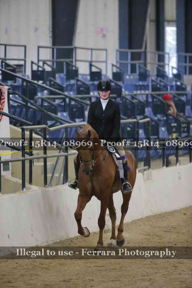 Proof Number 15R14_08969