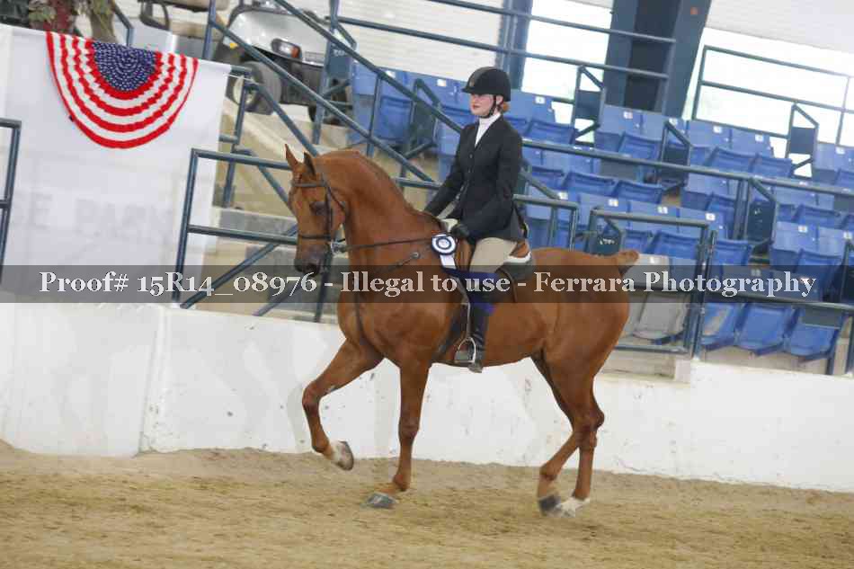 Proof Number 15R14_08976