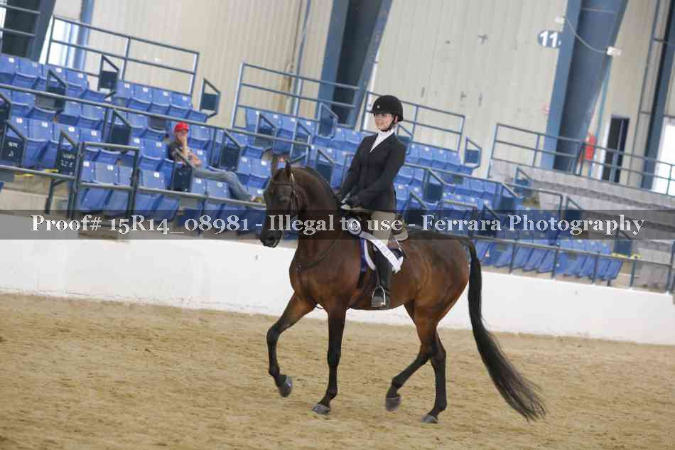 Proof Number 15R14_08981