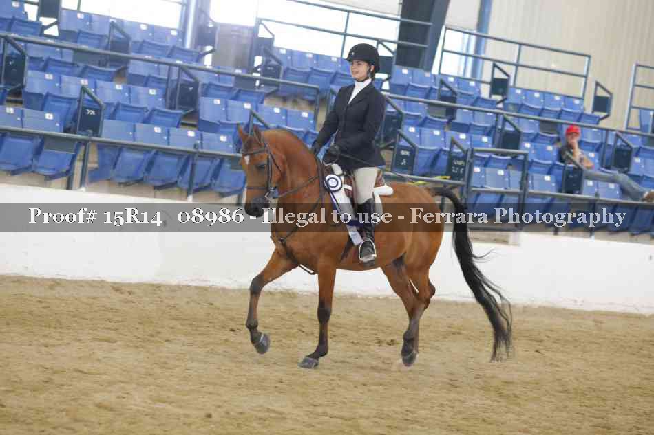 Proof Number 15R14_08986