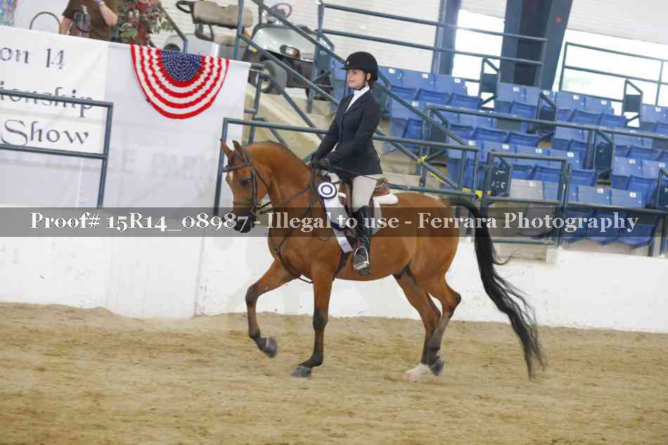 Proof Number 15R14_08987