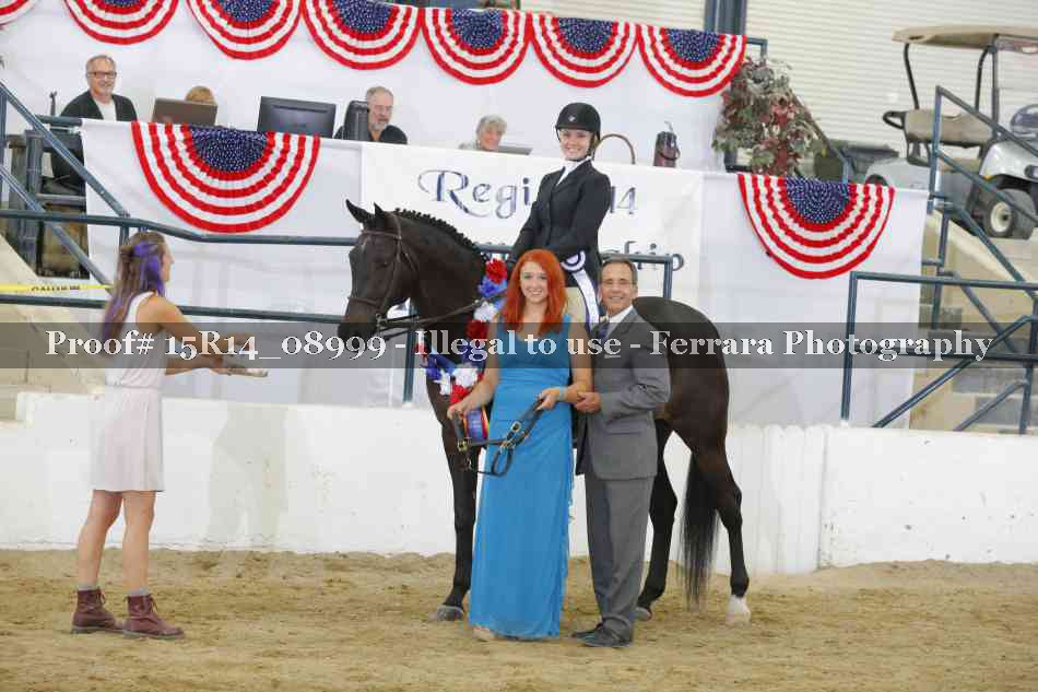 Proof Number 15R14_08999