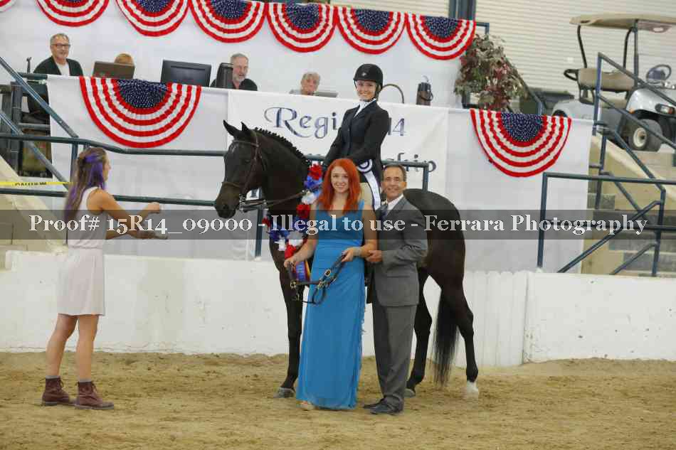 Proof Number 15R14_09000