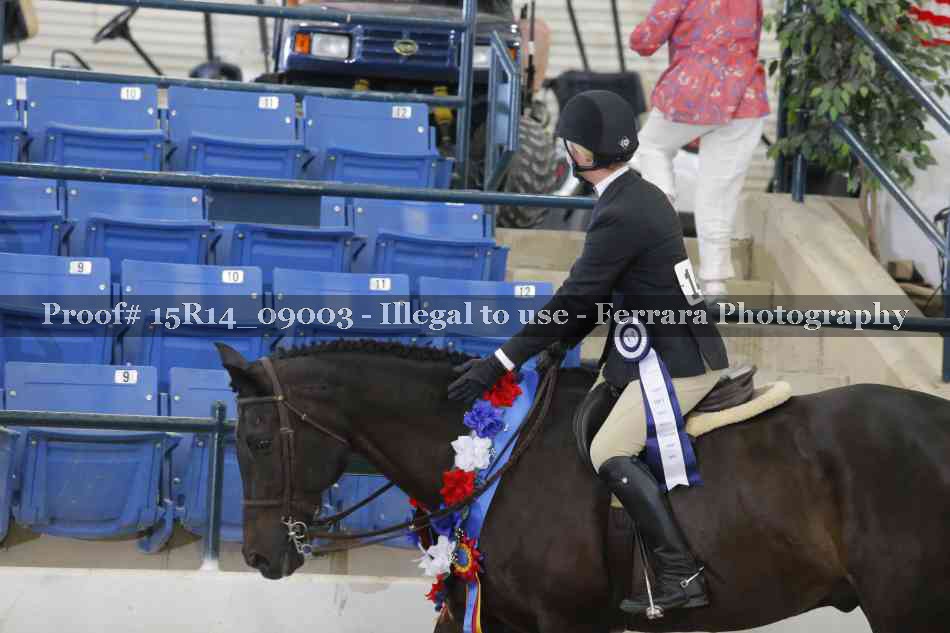 Proof Number 15R14_09003