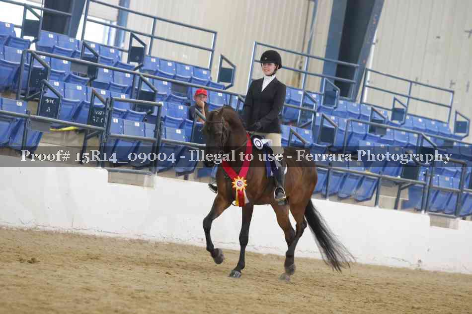 Proof Number 15R14_09004