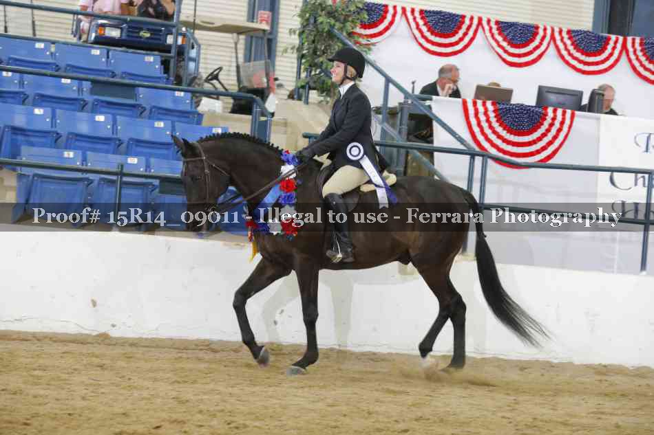 Proof Number 15R14_09011