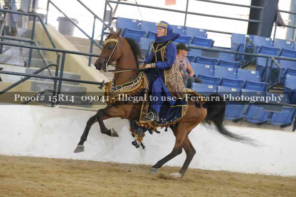 Proof Number 15R14_09041