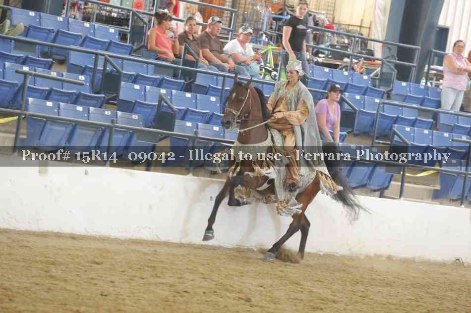 Proof Number 15R14_09042